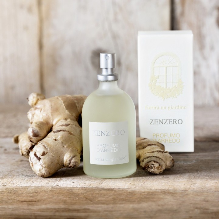 Profumo d'arredo zenzero v110 ml