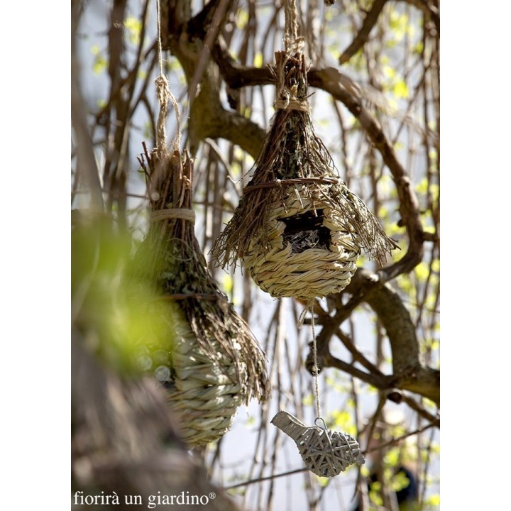 Petit oiseau en osier fait a la main. pret pour etre souspendu ou pour decorer un cadeau.
