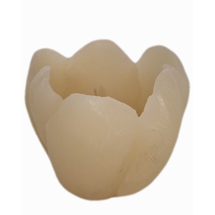 Cream tulip candle d10 h9 cm
