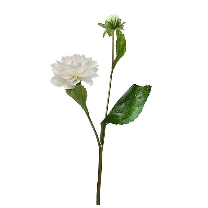 Dahlia and white bud branch h40 cm