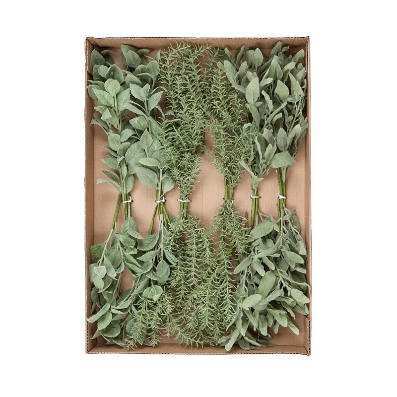 Pack of 36 mixed garden herbs h28 cm