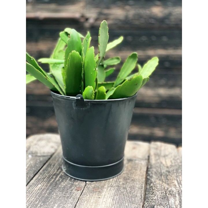 Artificial green cactus h40 cm