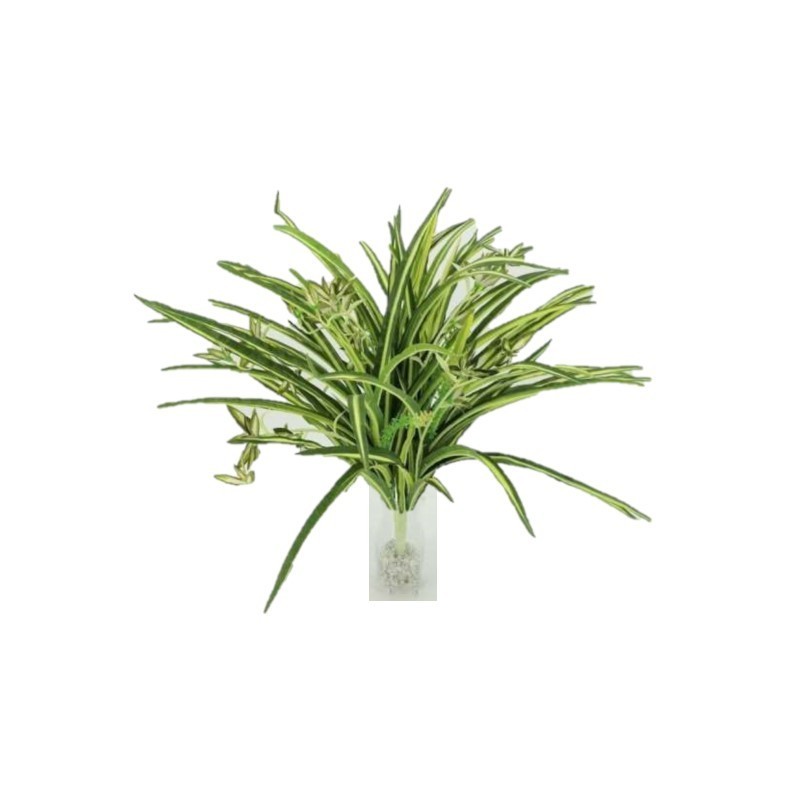 Pianta artificiale falangium h53 cm