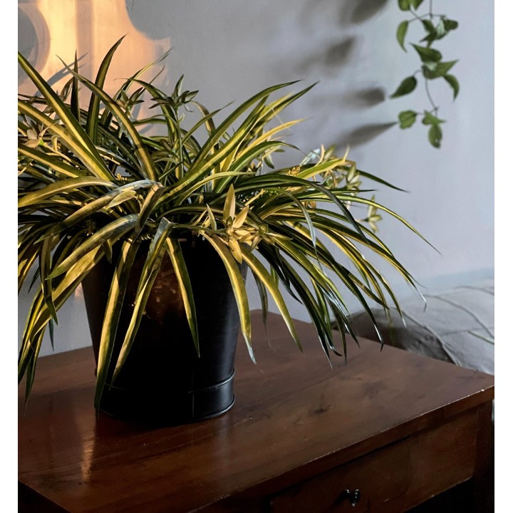 Artificial plant falangium h53 cm