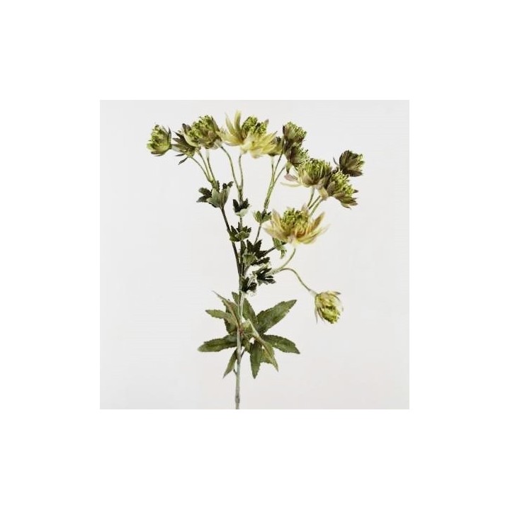 Plante artificielle nigelle verte h66 cm