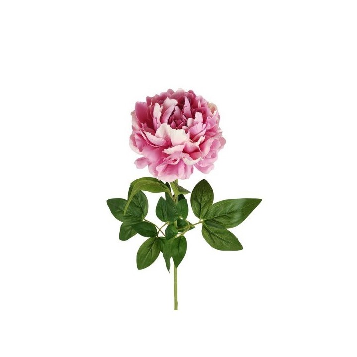 Ramo peonia rosa h72 cm