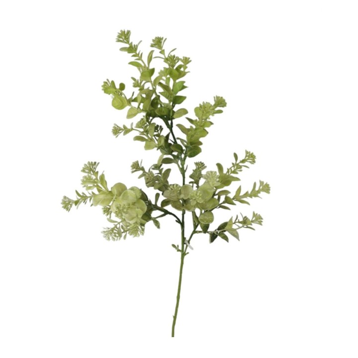 Ramo di eucalipto con infiorscenze h74 cm