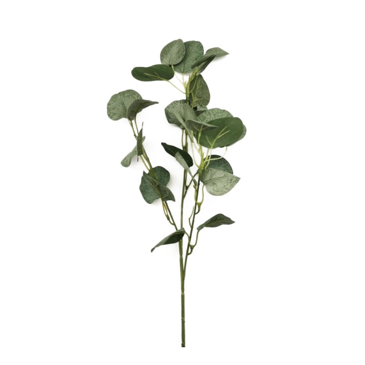 Eucalyptus branch with large leaves h67 cm