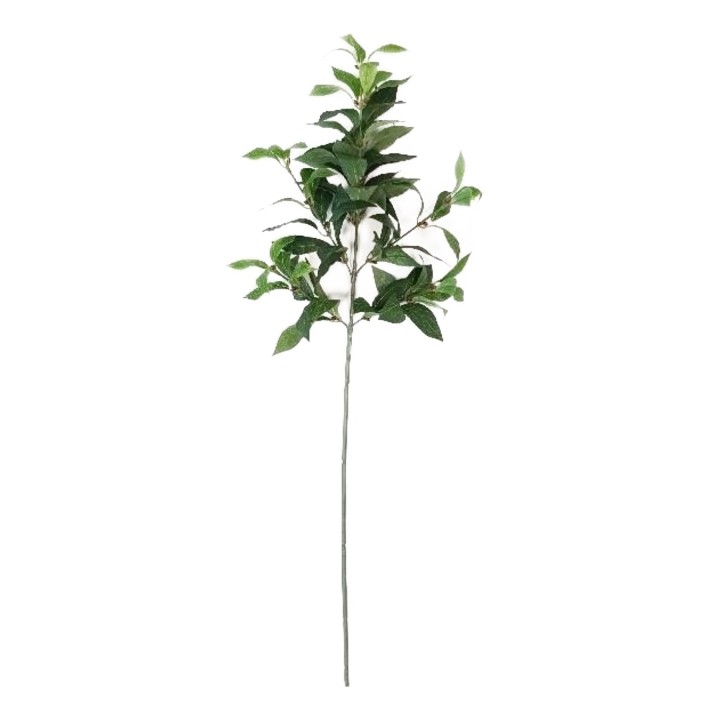 Ramo di alloro verde h73 cm