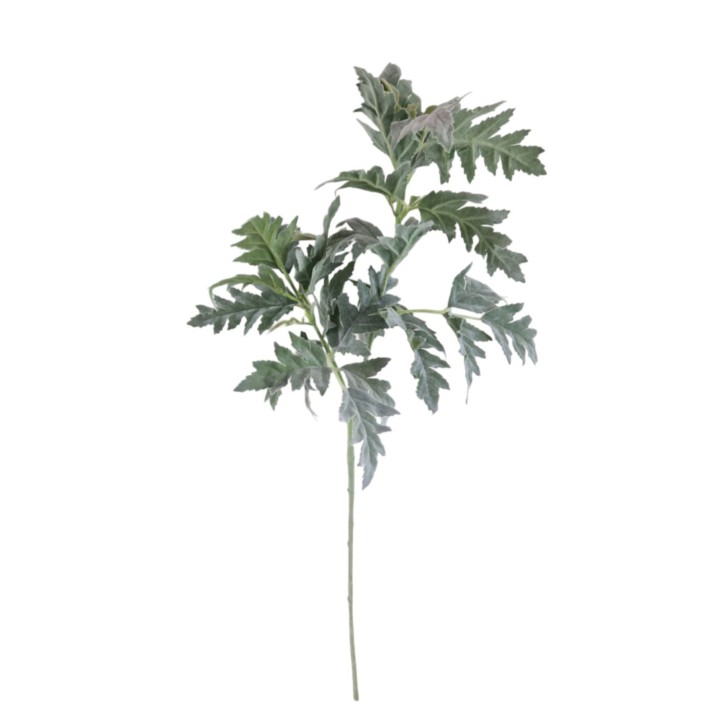 Green senecio branch h70 cm