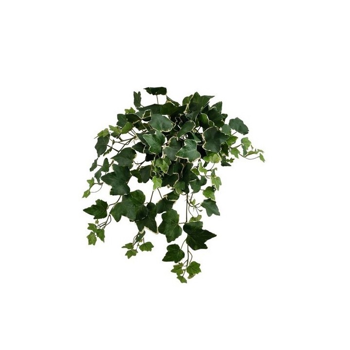 Green varigated falling ivy branch, uv resistant, h48 cm