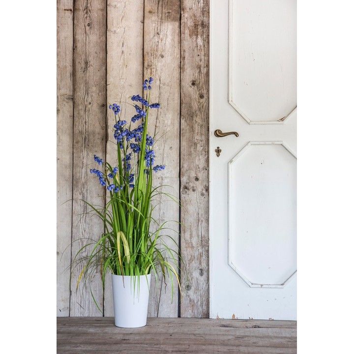 Vaso campanule azzurre h122 cm