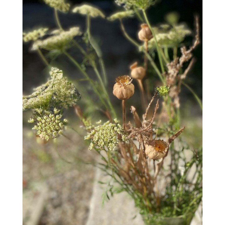 Artificial branch of dried poppy with 2 berries h45 cm