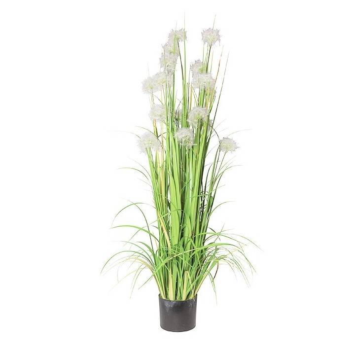 Vaso soffioni bianchi h152 cm