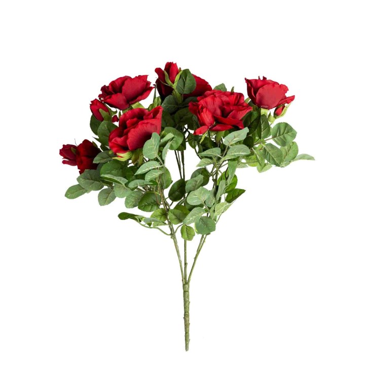 Bouquet de roses couleur rouge