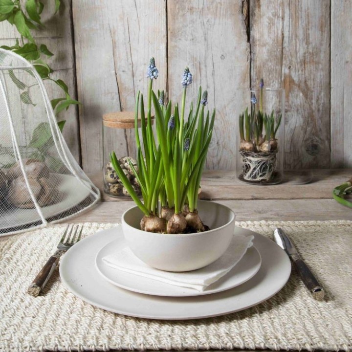 Petit bol en melamine creme d13 h6 cm