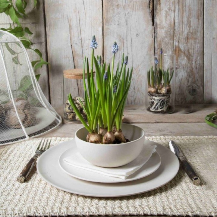 Assiette a dessert en melamine creme d20 cm