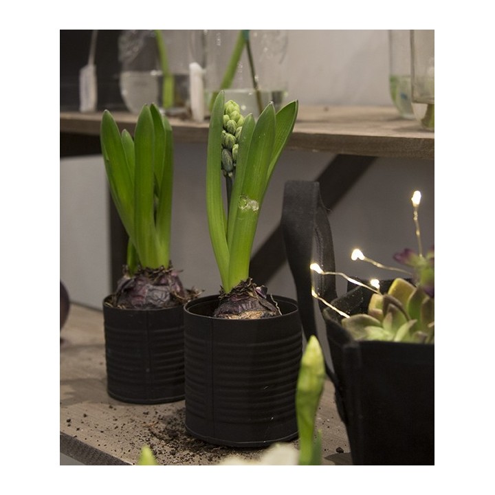 Barattolo nero righe orizzontali con vetro d8 h8 cm