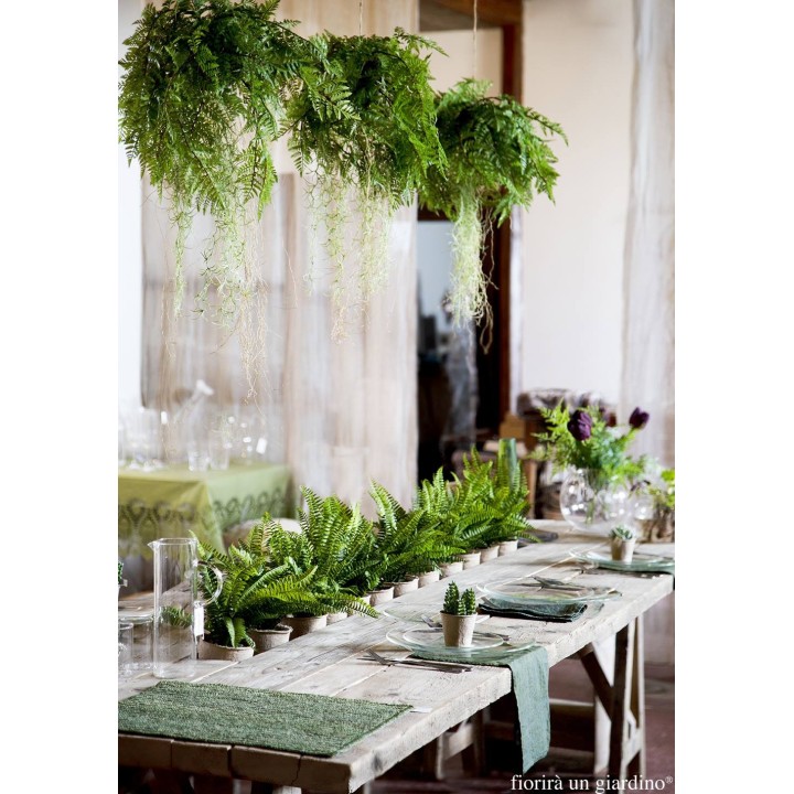 Tavolo assi grezze con vano centrale 350 x 95 h75 cm