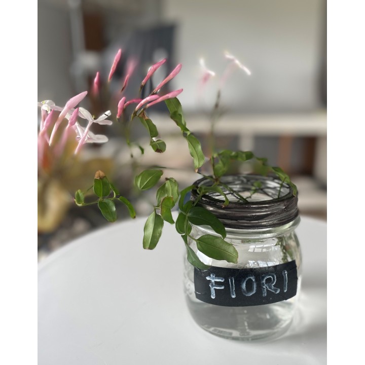 Black scotch tape 10m x 2.5 cm