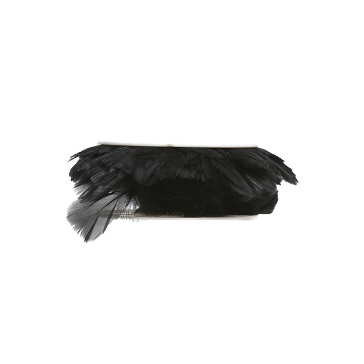 Ruban plumes noires
