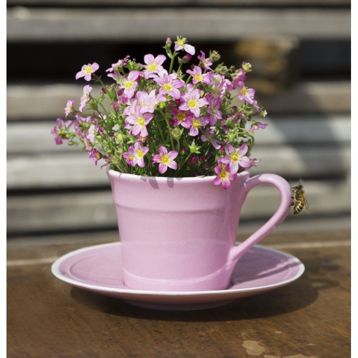 Tazza con piattino in terracotta colore rosa d17.5 h8 cm
