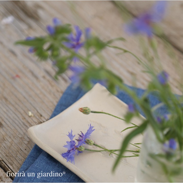 Gres tray with branch decoration 9 x 17.5 cm