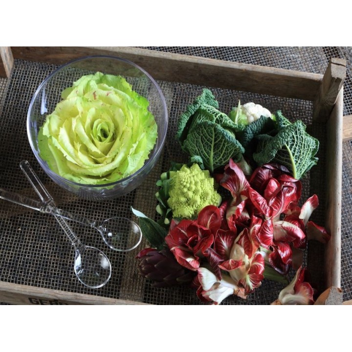 Set 2 posate da insalata in metacrilato 30 cm