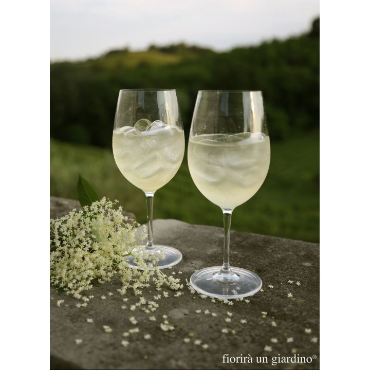 Verre a pied borgogna en methacrilate h22.5 cm