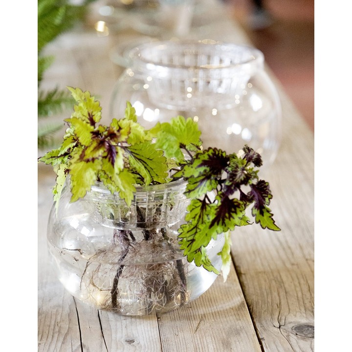 Vase en polycarbonate pour hydroculture d20 cm