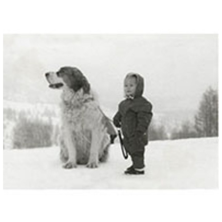 Tableau enfant avec chien saint bernard 25x35 cm