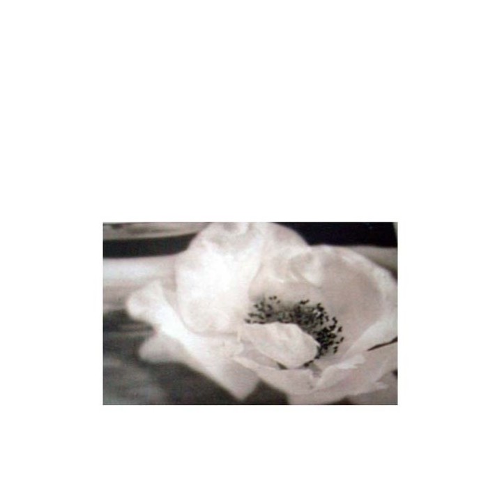 Quadro rosa 13 x 18 cm