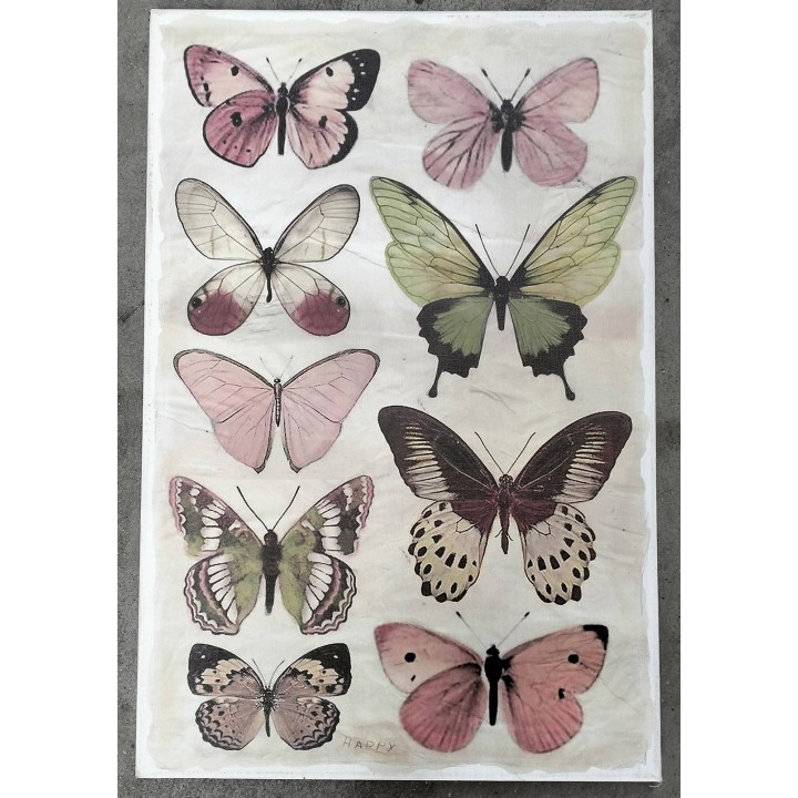 Quadro farfalle 40 x 60 cm