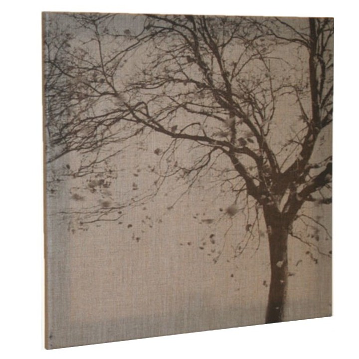 Tree branches picture 50 x 50 cm