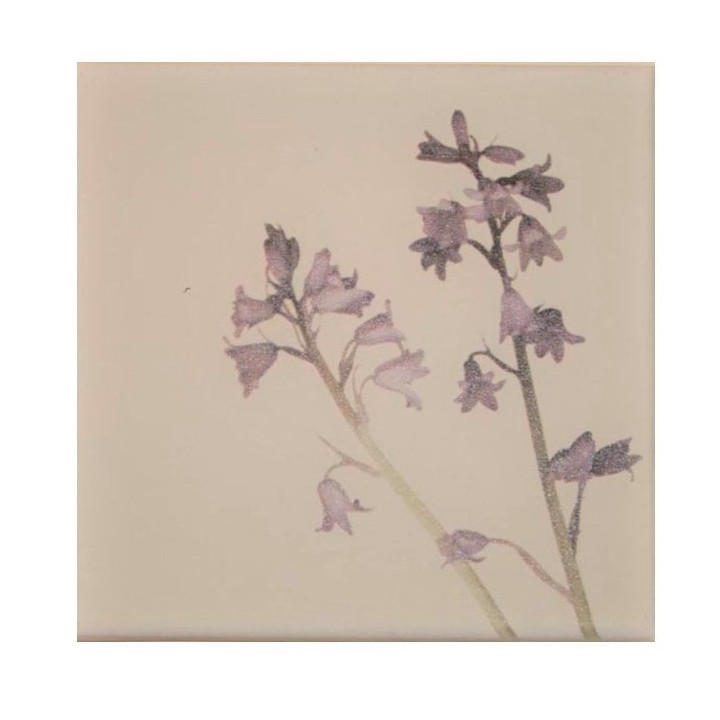 Quadro campanelle lilla 20 x 20 cm