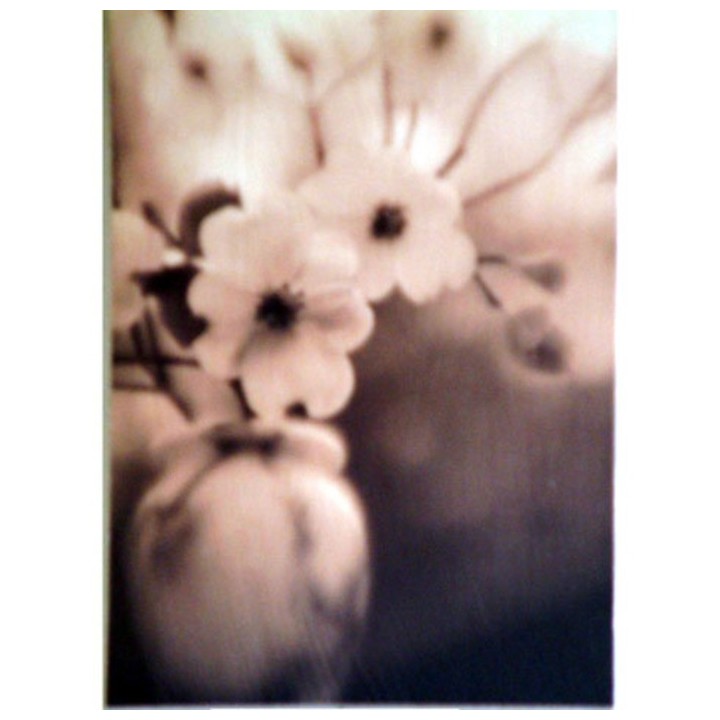 White flowers picture 18 x 27 cm