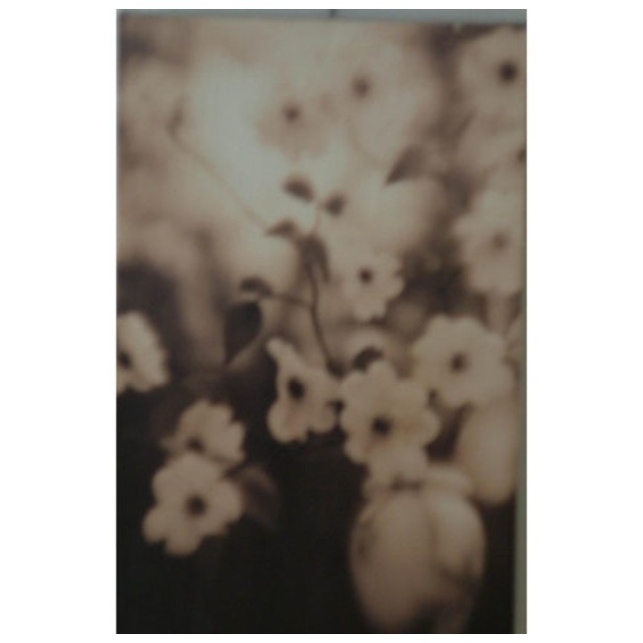 White flower branch picture 18 x 27 cm