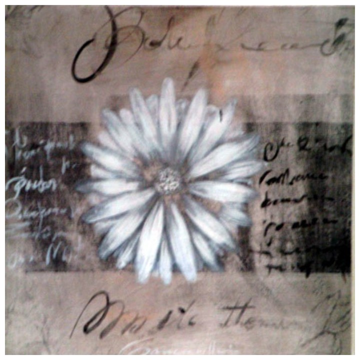 Quadro gerbera 30 x 30 cm