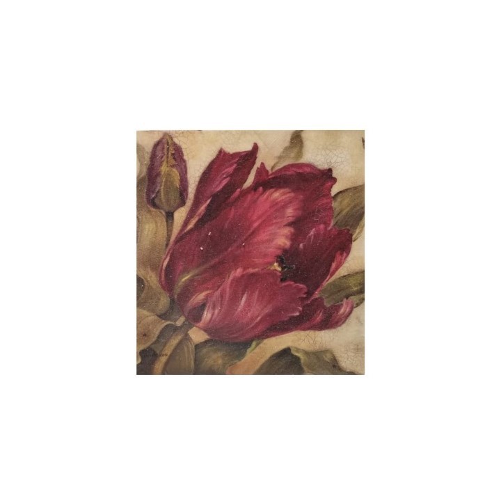 Painting red tulip 40x40 cm