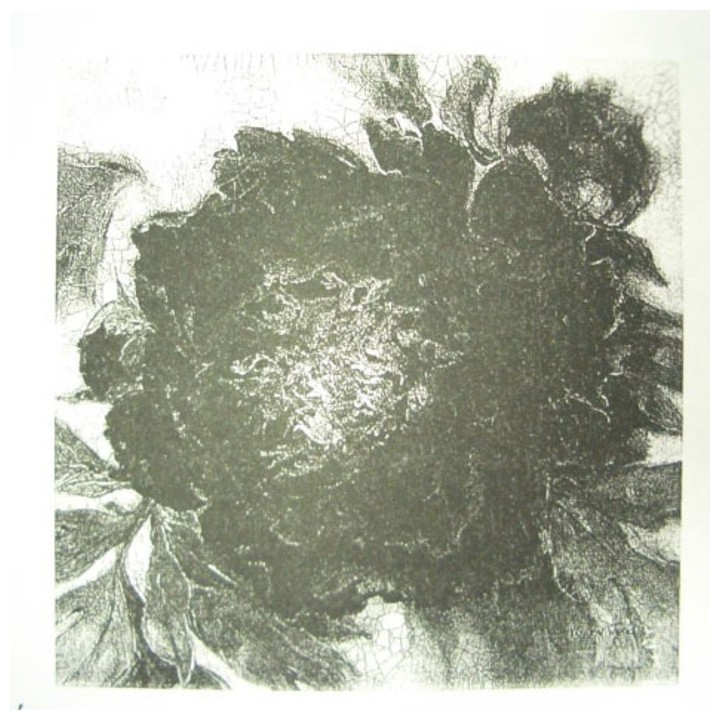 Quadro peonia rossa 40 x 40 cm