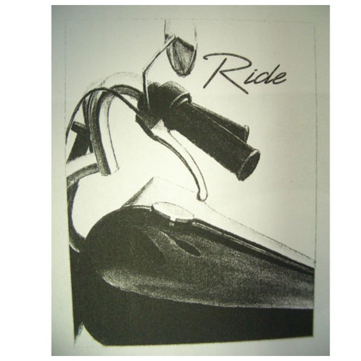Painting ride 30x40 cm