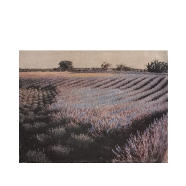 Lavender field canvas 30x22 cm