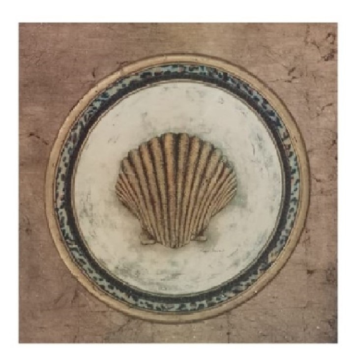 Painting with flat shell 40x40 cm
