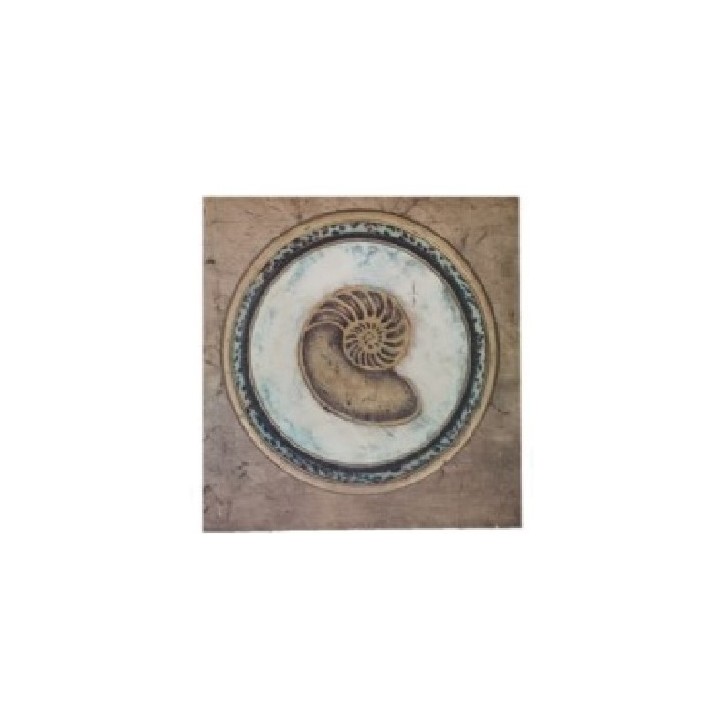 Painting with round shell 40x40 cm