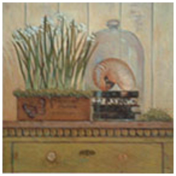 Picture vintage garden shell 40 x 40 cm