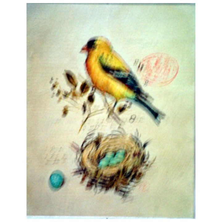 Tableau canari et nid 24x30 cm