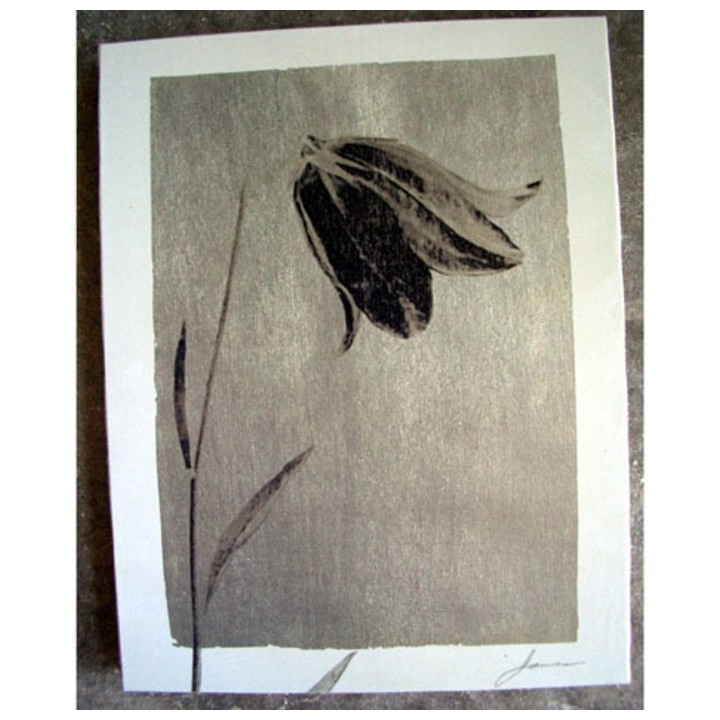 Black and white bellflower picture 28 x 35 cm