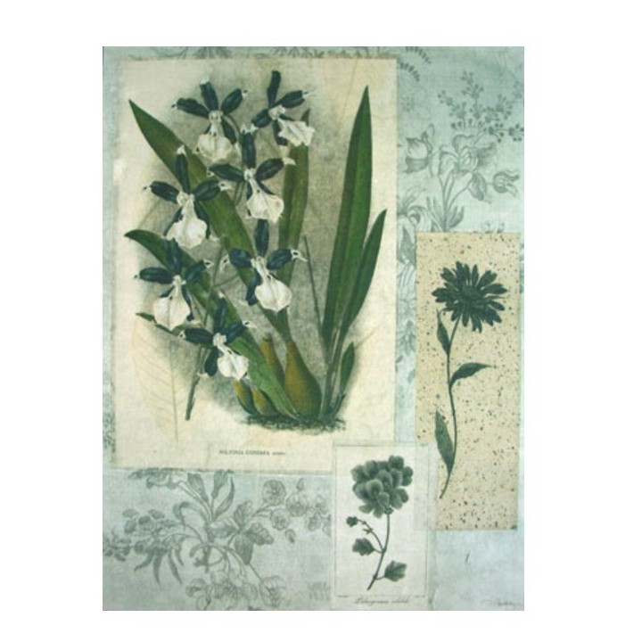 Painting with white orchids 55x70 cm