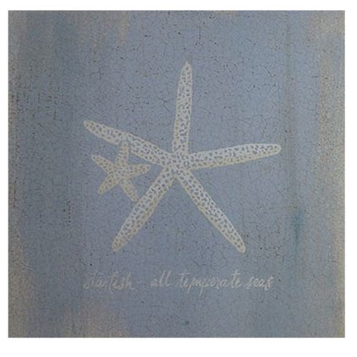 Tableau 2 Étoiles de mer 30 x 30 cm