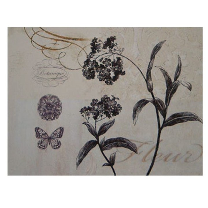 Tableauy 2 branches botanique 50x70 cm